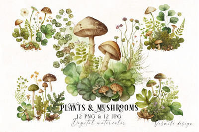 Watercolor plants and mushrooms