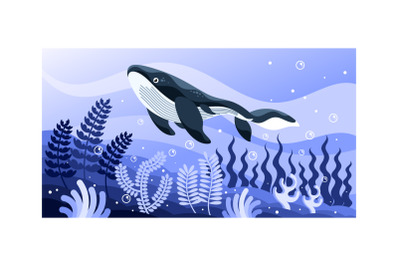 Whale Vector Illustration