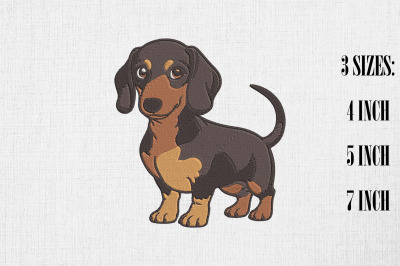 Cute Dachshund Embroidery Design