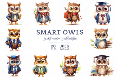 Smart Owls Back To School