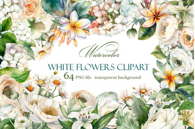 White flower. Watercolor clipart collection Bundle