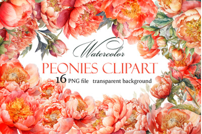 Watercolor Peony flower Clipart Bundle