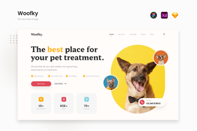 Woofky - Bright and Energetic Pet Care Hero Image