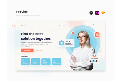 ProVice - Sunny Consulting Agency Website Hero Section