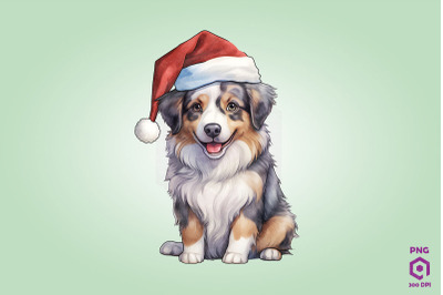 Australian Shepherd dog in Santa Hat