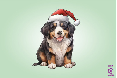 Bernese Mountain Dog dog in Santa Hat