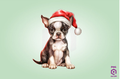 Boston Terrier dog in Santa Hat