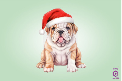 Bulldog dog in Santa Hat