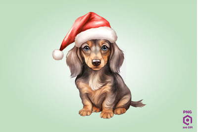 Dachshund dog in Santa Hat