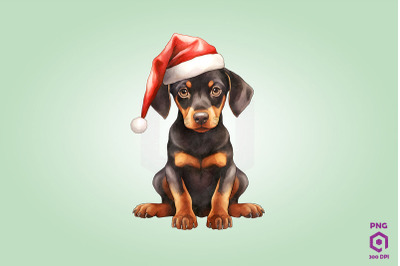 Doberman Pinscher dog in Santa Hat