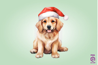 Golden Retriever dog in Santa Hat