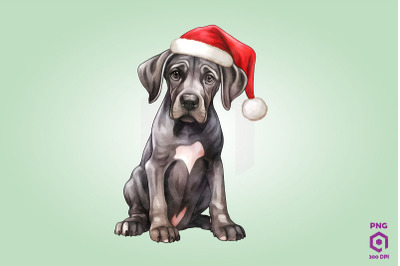 Great Dane dog in Santa Hat