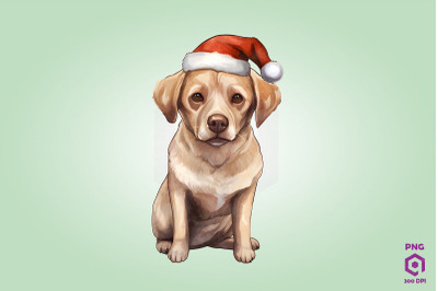 Labrador Retriever dog in Santa Hat