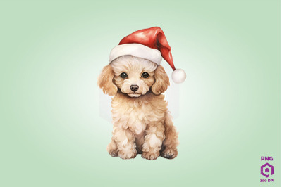 Poodle dog in Santa Hat