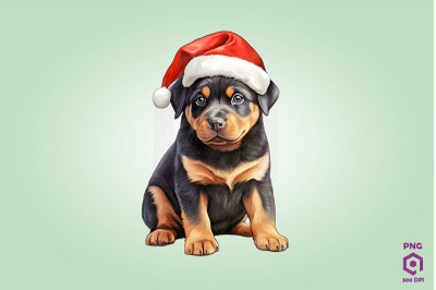 Rottweiler dog in Santa Hat