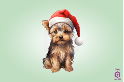 Yorkshire Terrier dog in Santa Hat