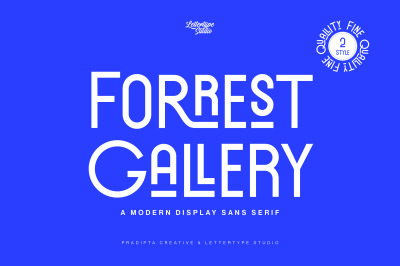 Forrest Gallery Modern Display Font