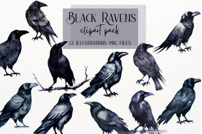 Black Raven Clipart, Black Bird Crow