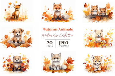 Autumn Animals