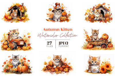 Autumn Kitten