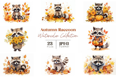 Autumn Raccoon