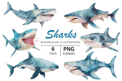 Sharks Watercolor illustration
