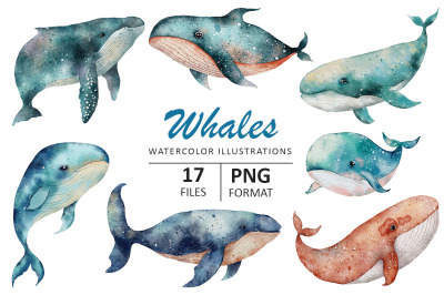 Whale watercolor illustration