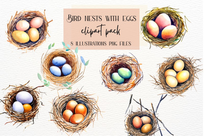 Bird Nest with Eggs Collection