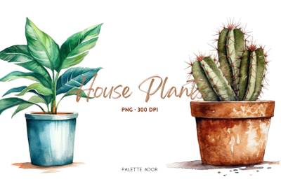 Watercolor House Plants