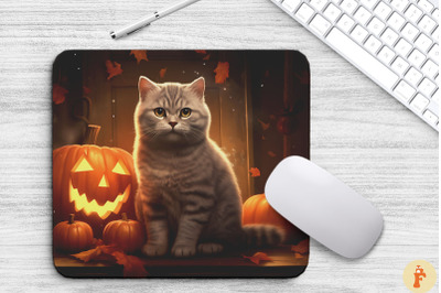 Cute American Shorthair Cat In Halloween