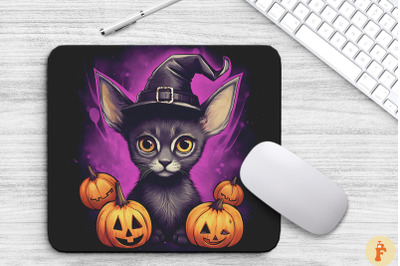 Cute Abyssinian Kitten With Witch Hat