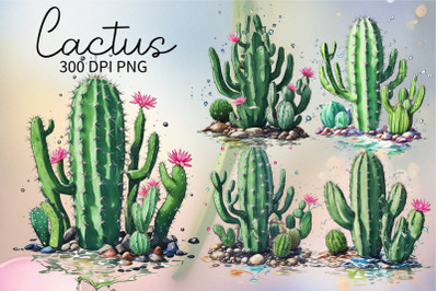 Cactus Clipart PNG Bundle | Cacts Sublimation PNG