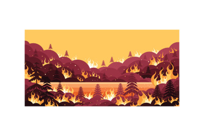 Forest Fires Illustration