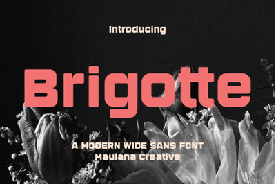 Brigotte Modern Wide Sans Font