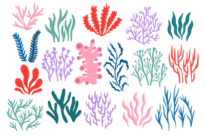 Sea corals. Tropical underwater flora and fauna, colorful coral reef c