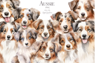 Aussie dogs clipart