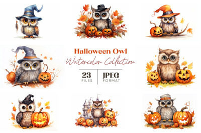 Halloween Owl