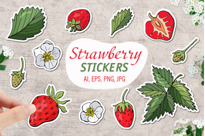 Strawberry &2F; Printable Stickers Cricut Design