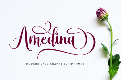Amedina Script Font