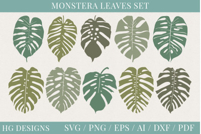 Monstera Leaves SVG Craft Files