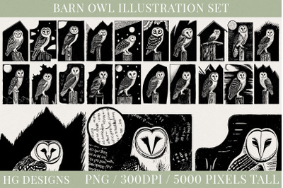 Barn Owl Illustration Set