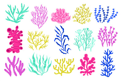 Seaweeds and algae. Cartoon colorful underwater plants, colorful exoti