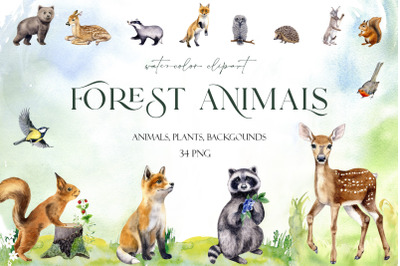 Watercolor forest clipart with cute woodland animal png
