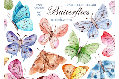 Butterflies watercolor clipart. Moths, insects.