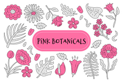 Pink Botanicals Illustrations