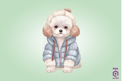 Cozy Poodle Dog Clipart