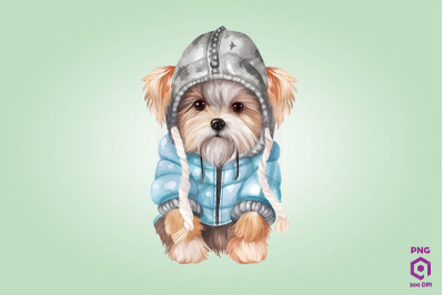 Cozy Yorkshire Terrier Dog Clipart