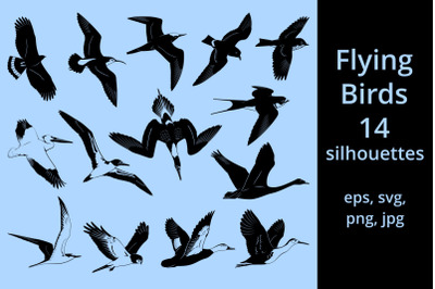 Flying Birds Silhouettes