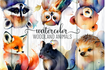 Woodland Animals - Transparent Watercolor Illustrations