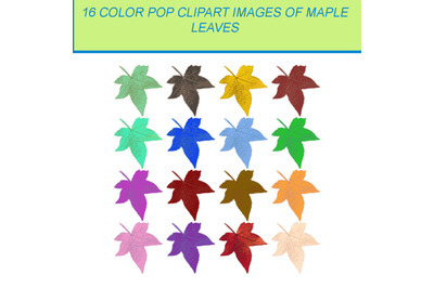16 COLOR POP CLIPART IMAGES OF MAPLE LEAF